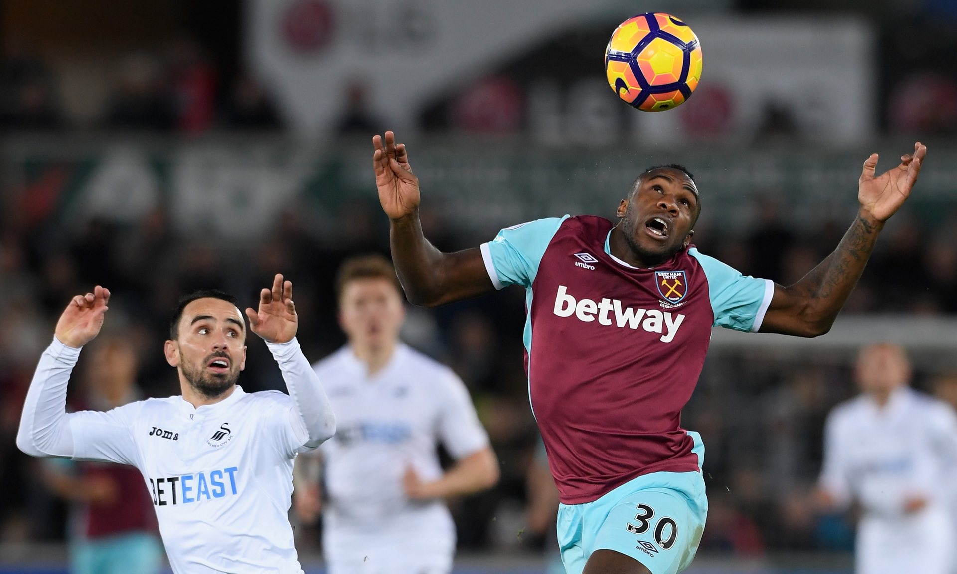 留在欧洲顶 留在欧洲顶